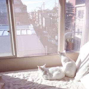 人人妻人人爽凹凸
